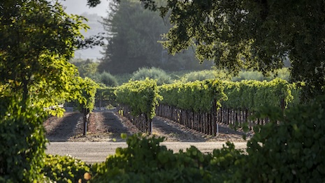 Aperture Cellars at SJ Ranch. Photo by Rachid Dahnoun