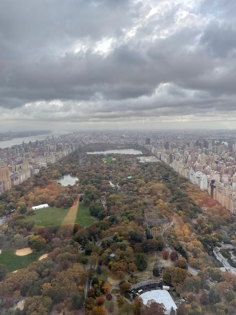 Central Park view from 111 West 57th Street